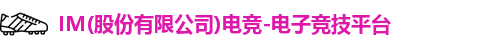 IM电竞
